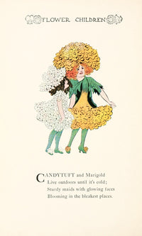 Flower Children 1910 Candytuft & Marigold Poster Print by M.T. Ross