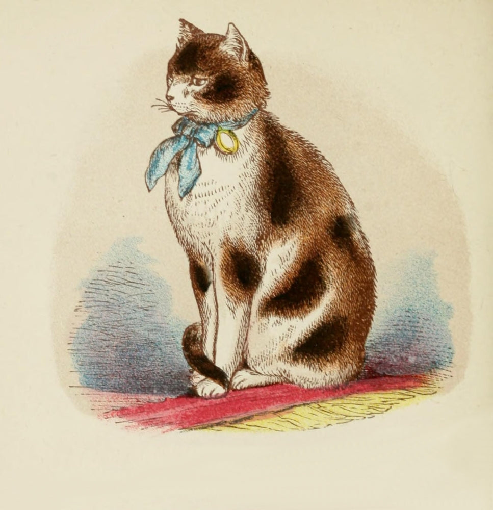 Cats 1877 Tortoiseshell & White Art Print showcasing elegant cats.