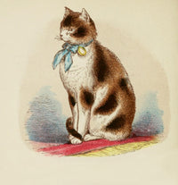 Cats 1877 Tortoiseshell & White Art Print showcasing elegant cats.