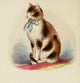 Cats 1877 Tortoiseshell & White Art Print showcasing elegant cats.