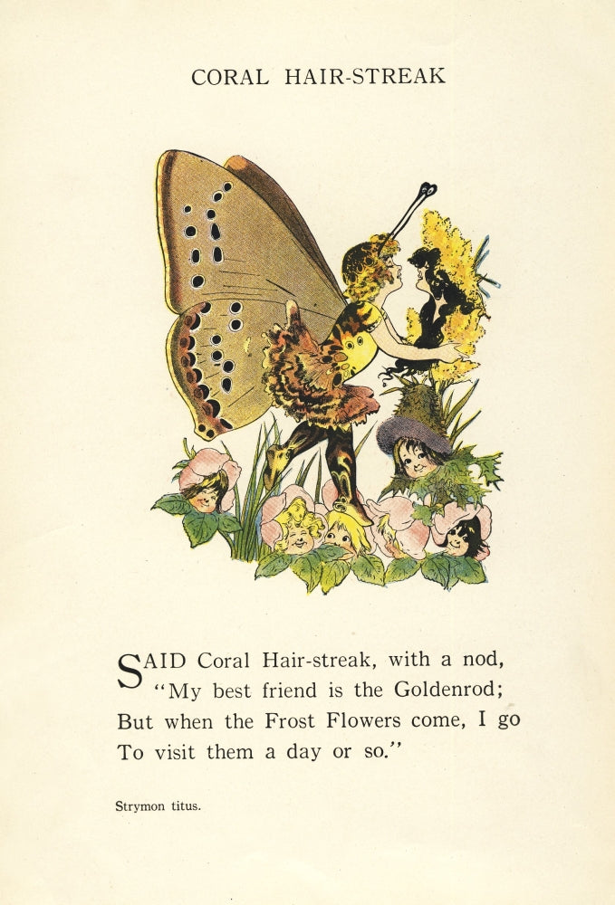 Butterfly Babies 1914 Coral Hair-streak Poster Print by M.T. Ross, colorful butterfly artwork