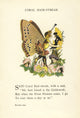 Butterfly Babies 1914 Coral Hair-streak Poster Print by M.T. Ross, colorful butterfly artwork
