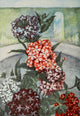 Garden Flowers 1926 Verbena Poster Print by Myron Van Brunt