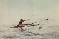 Norfolk Broads 1906 Punt-Gunning on Breydon Poster Print
