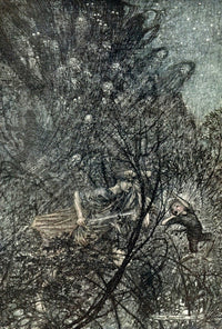 Midsummer Night's Dream 1908 Up and Down Poster Print by A. Rackham