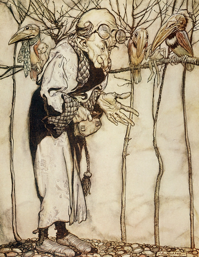 Book of Pictures 1913 Wizard Poster Print by A. Rackham showcasing whimsical illustrations.