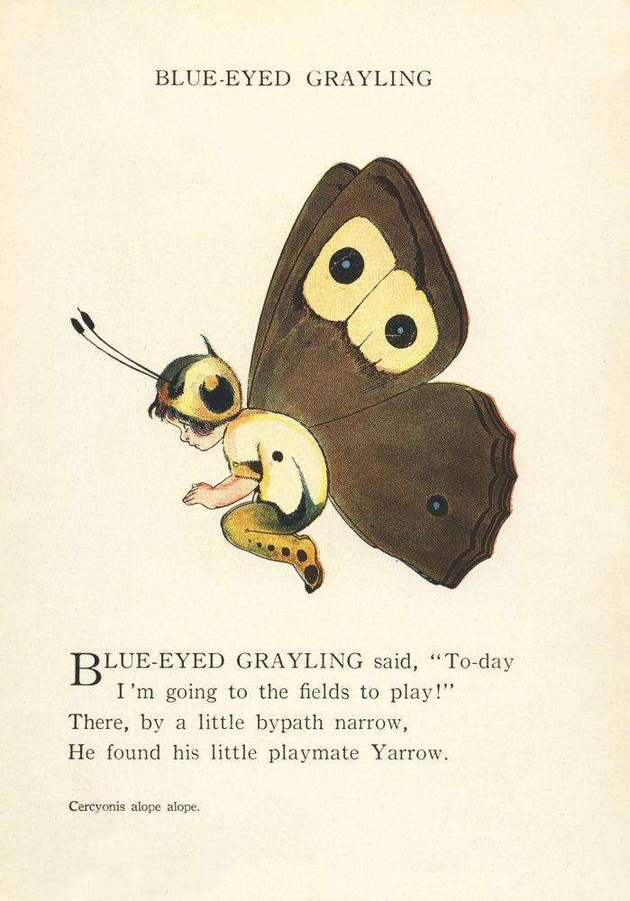 Butterfly Babies Blue-eyed Grayling Poster Print by M.T. Ross