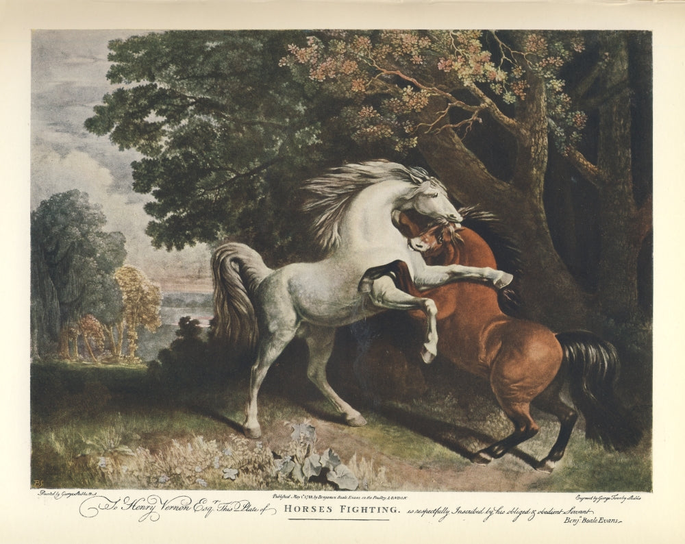 Horses Fighting Fine Art Print by George Stubbs