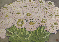 Alpine Flora Thlaspi Rotundifolium Art Print by Philippe Robert, showcasing delicate flowers and lush foliage.