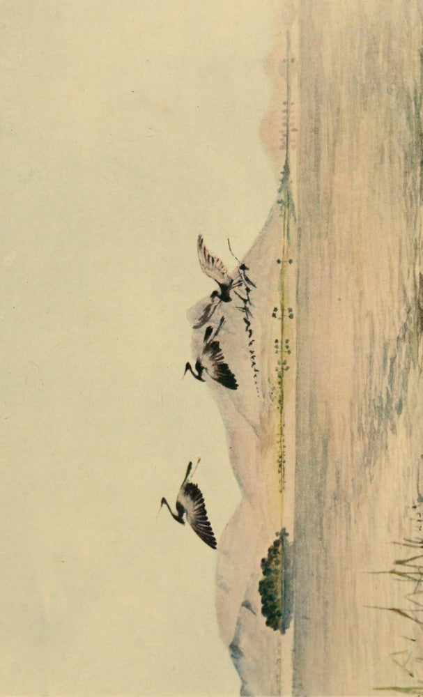 The Tanganyika Problem Lake Shirwa Poster Print by John S. Moore