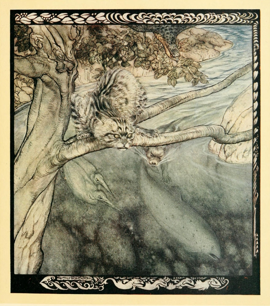 Irish Fairy Tales Poster Print featuring Tuan Mac Cairill by A. Rackham