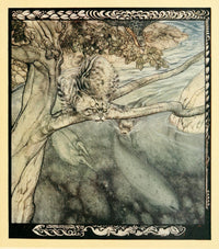 Irish Fairy Tales Poster Print featuring Tuan Mac Cairill by A. Rackham