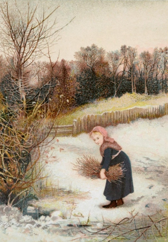 Rosebuds and Holly Berries Winter Poster Print from 1888