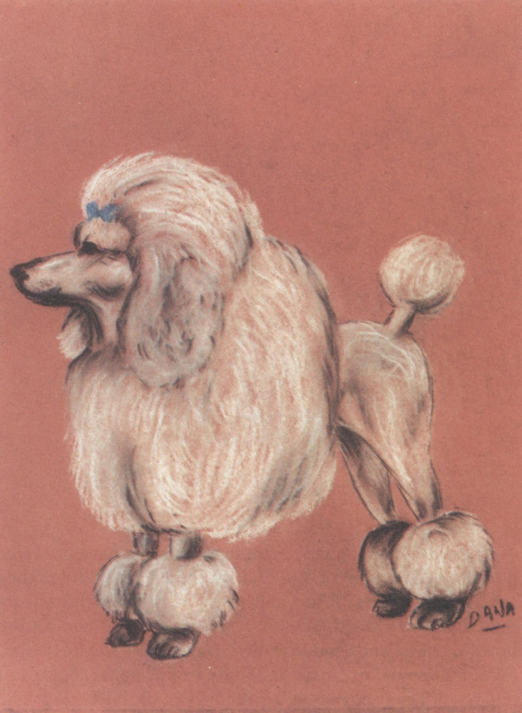 How to Clip a Poodle Poster Print by Dana Miller showcasing a groomed poodle.