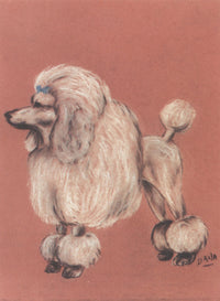 How to Clip a Poodle Poster Print by Dana Miller showcasing a groomed poodle.