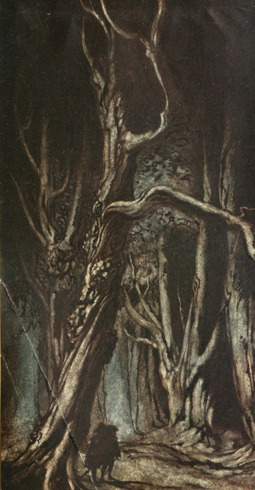 Comus 1921 Enter, 2 Brothers Poster Print by A. Rackham