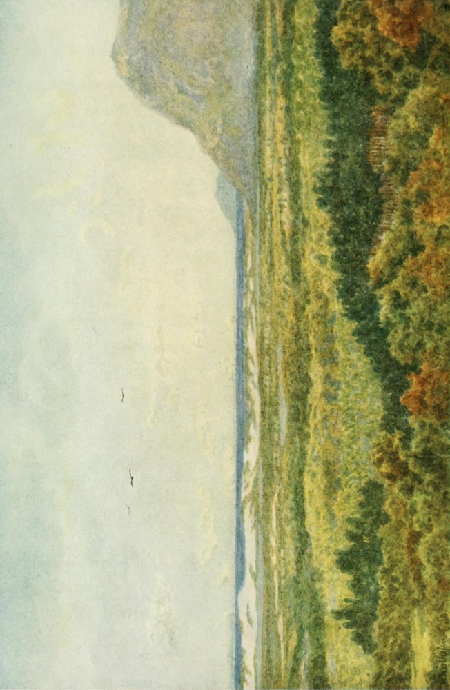 The Cape Peninsula 1910 Poster Print by Wilhelm Westhofen showcasing Constantia Valley and False Bay.