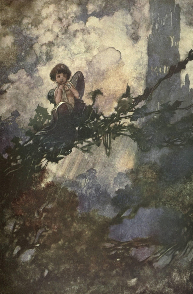 The Sensitive Plant Poster Print by Charles Robinson, vibrant nature artwork.