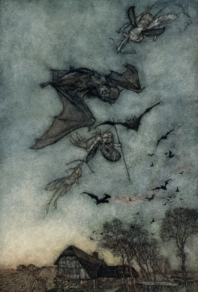 Midsummer Night's Dream 1908 War with Rere-Mice Poster Print by A. Rackham