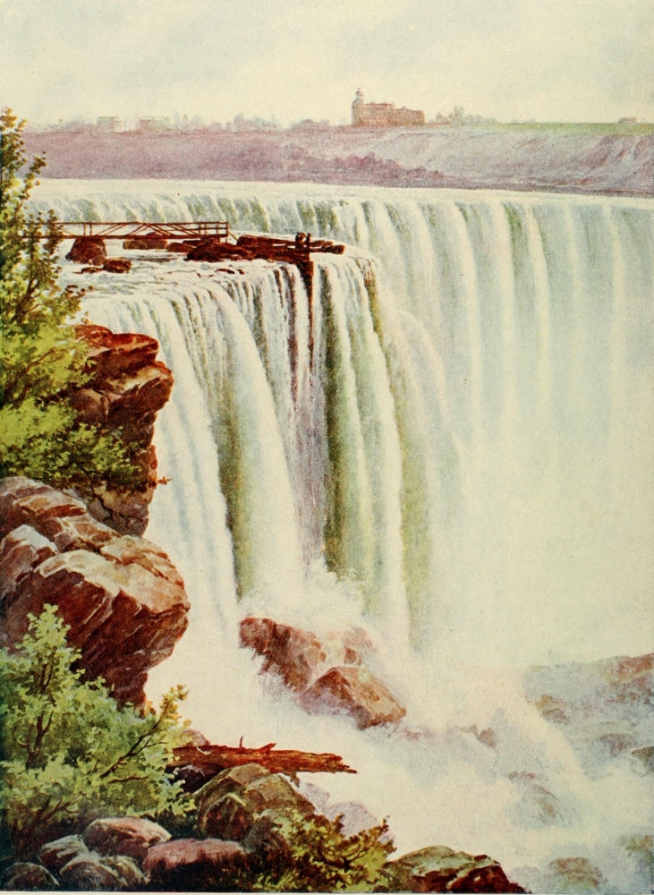 Birds & All Nature 1900 Niagara Falls Poster Print featuring vibrant scenery and wildlife.