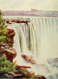 Birds & All Nature 1900 Niagara Falls Poster Print featuring vibrant scenery and wildlife.