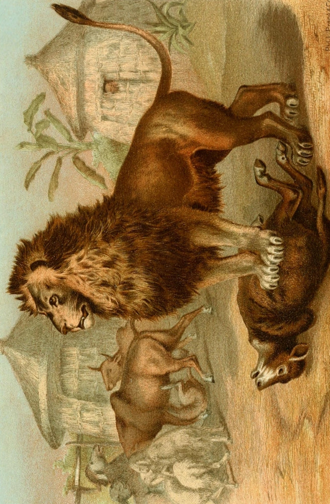 Our Living World 1885 Lion Poster Print showcasing the majesty of a lion
