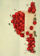 Birds & Nature 1899-1905 Cherries Poster Print featuring vibrant cherries and birds.