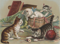 Colorful Chromolithograph Poster Print from 1898, full of fun.