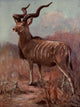Wild Beasts of the World - Koodoo Poster Print by Cuthbert E. Swan showcasing the graceful Koodoo.