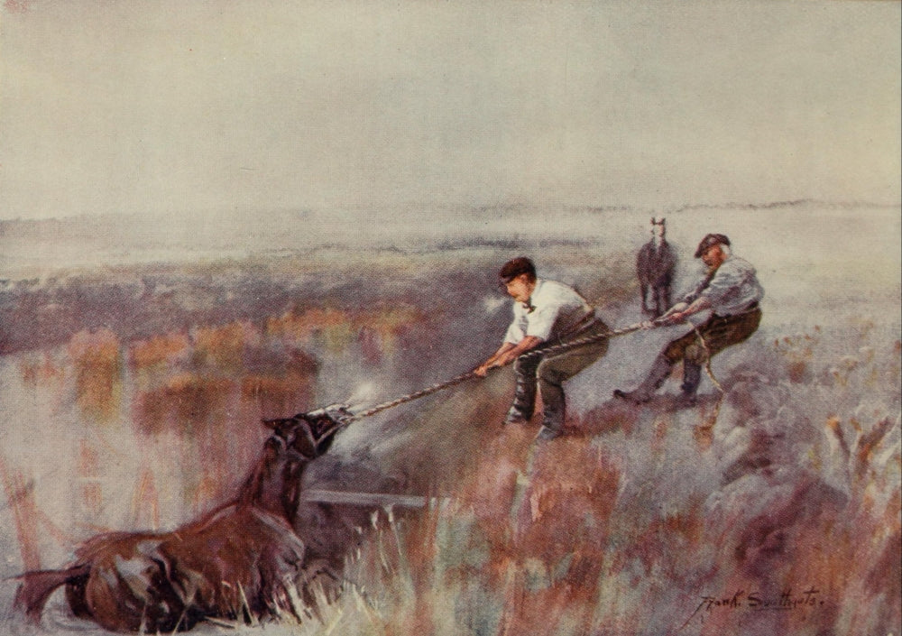 Norfolk Broads All in a Day's Work Poster Print by Frank Southgate