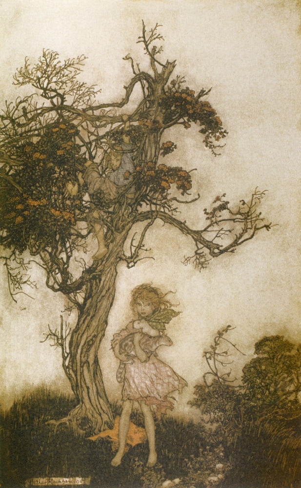Rip Van Winkle Ragged & Wild Children Poster Print by A. Rackham