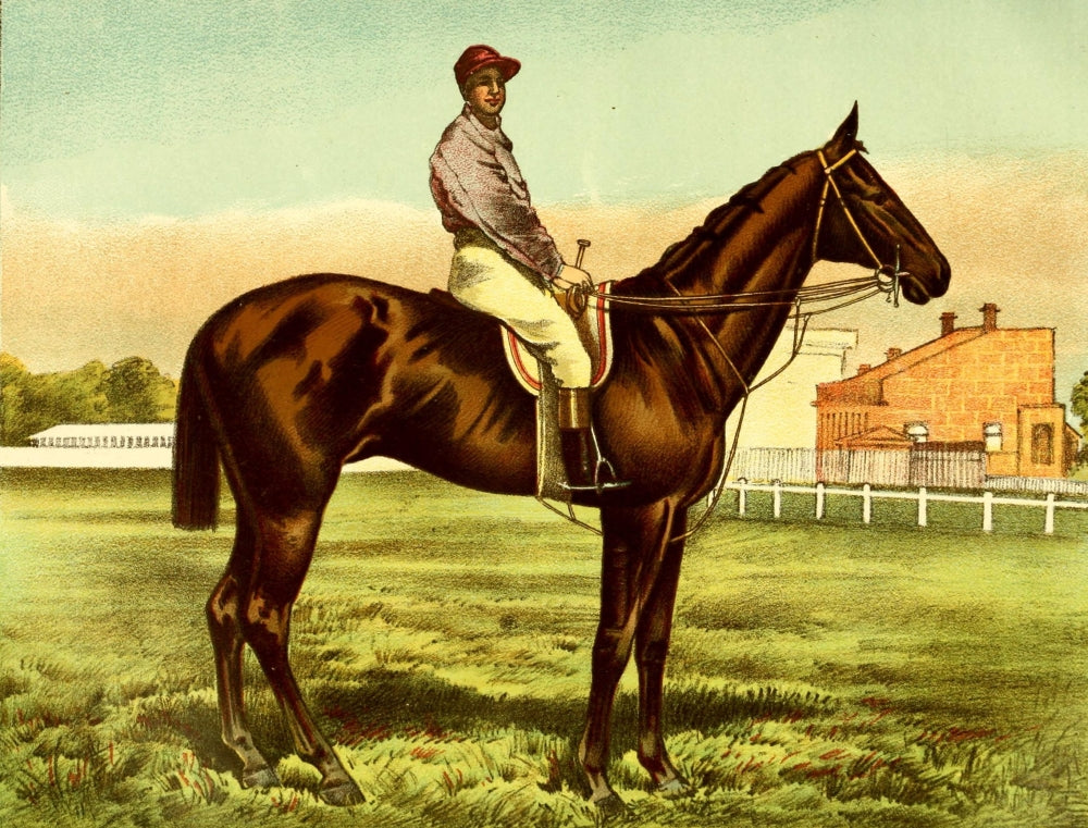 Modern Practical Farriery 1875 Galtee More Poster Print showcasing intricate farriery details.