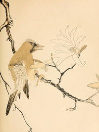 Bird Artistic Japan 1891 Poster Print showcasing intricate details and vibrant colors.