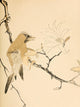 Bird Artistic Japan 1891 Poster Print showcasing intricate details and vibrant colors.