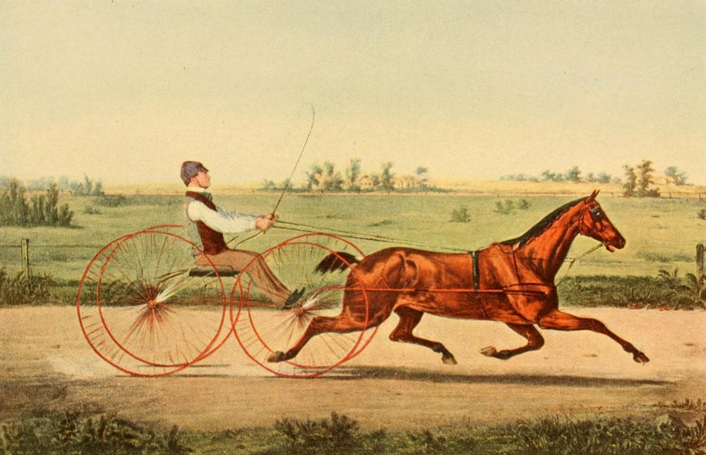 The Horse in America 1905 Poster Print featuring a horse and trap.