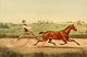 The Horse in America 1905 Poster Print featuring a horse and trap.