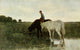 Connoisseur 35 Watering Horses Poster Print by Anton Mauve