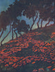 Poppyland 1914 Frontispiece Poster Print by Leighton Pearce