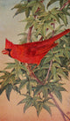 Wild Birds Cardinal Poster Print by F. S. Mathews showcasing a vibrant red cardinal.