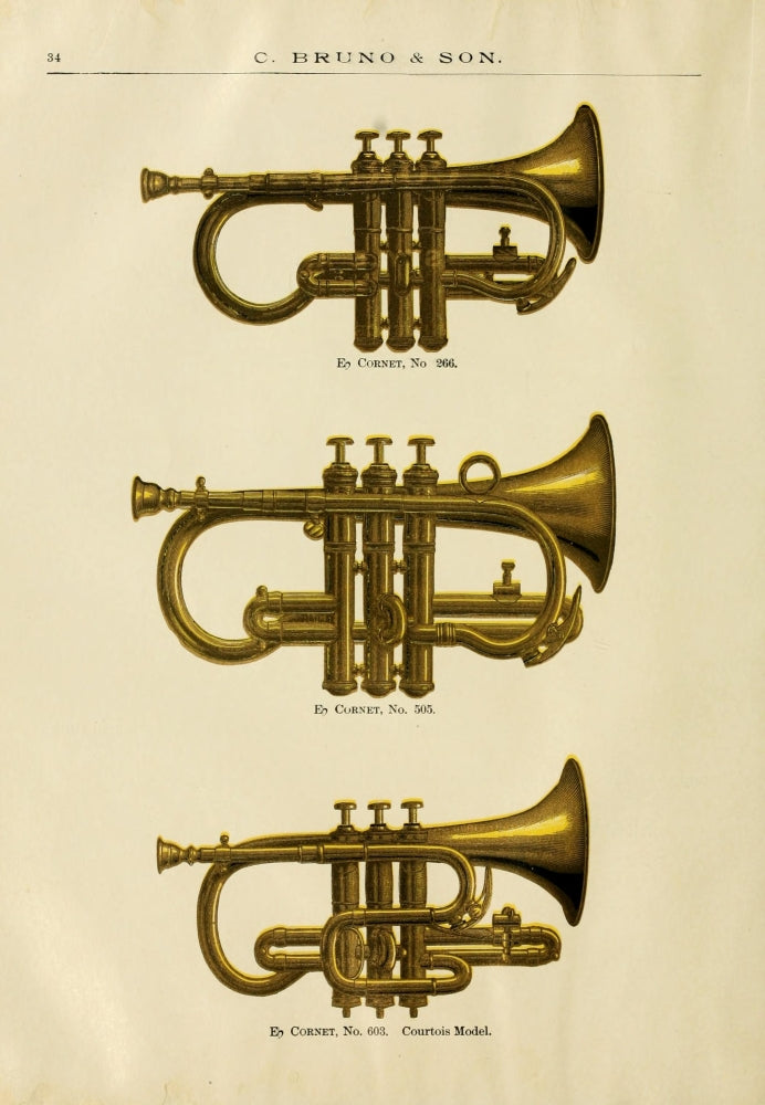 Catalogue C. Bruno & Son c.1890 E-flat Cornets Poster Print
