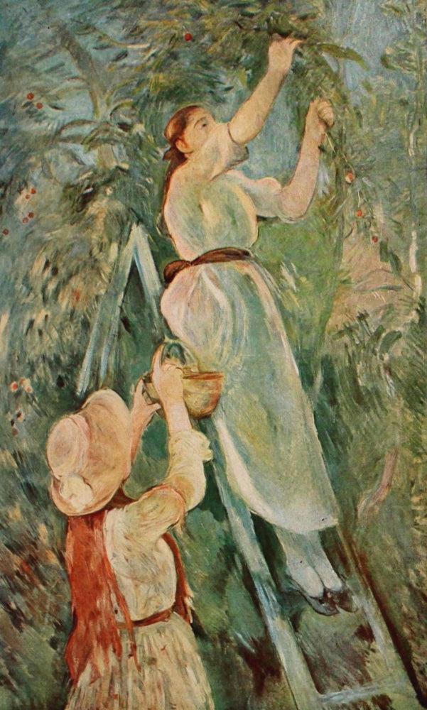 The Cherry Tree Poster Print by Berthe Morisot showcasing delicate cherry blossoms.