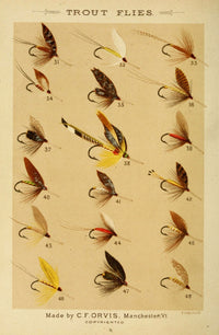 Fishing with the Fly 1883 Trout Flies Poster Print