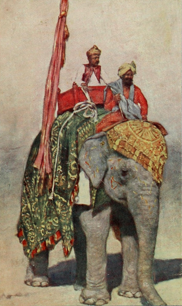 India 1910 Indian Elephant Poster Print by Mortimer Menpes