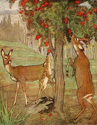Habits & Characters of Various Wild Animals Deer Poster Print by Warwick Reynolds