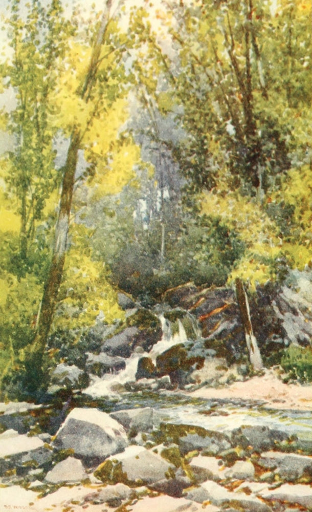 Devon 1913 Chudleigh Glen Poster Print by Frederick J. Widgery