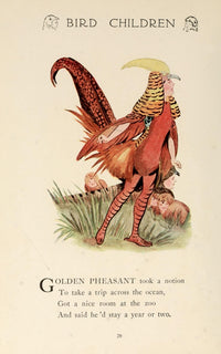 Bird Children 1912 Golden Pheasant Poster Print by M.T. Ross showcasing vibrant colors and intricate details.