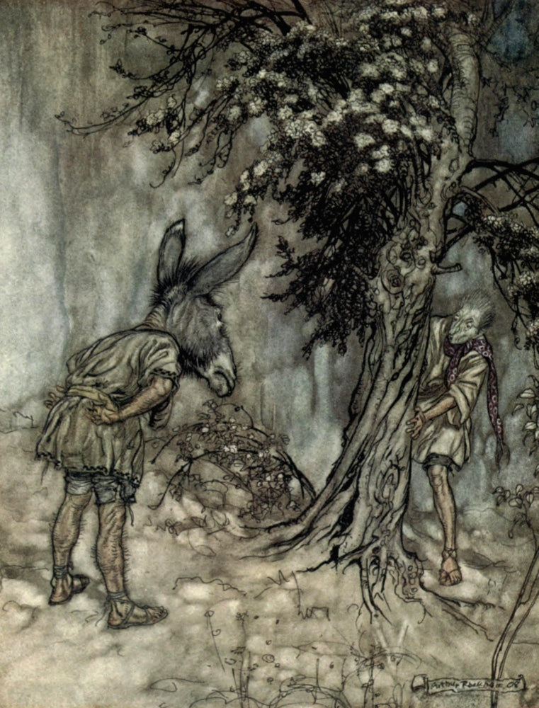 Midsummer Night's Dream 1908 Bottom Thou Art Changed Poster Print by A. Rackham