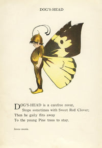 Butterfly Babies 1914 Dog's Head Poster Print by M.T. Ross
