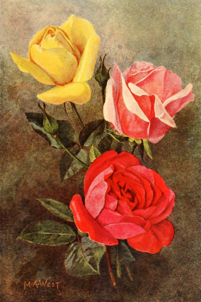 Rose Gardening 1922 Golden Emblem Poster Print by Maud Astley West