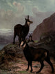 Wild Beasts of the World 1909 Chamois Poster Print by Cuthbert E. Swan